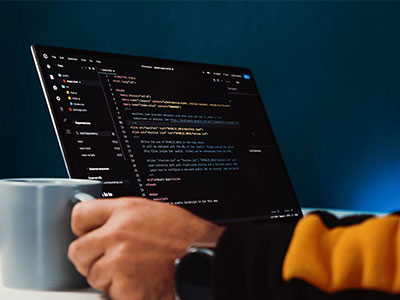 人人影视句子小体检：看例子当结论了吗，做把例子标清楚，就够了