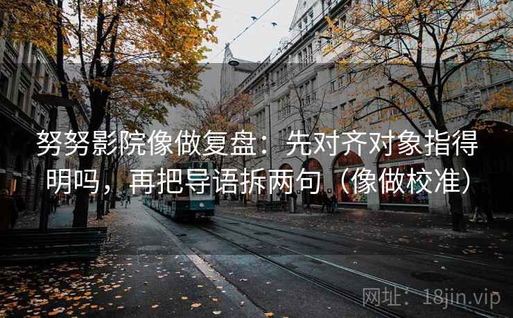 努努影院像做复盘：先对齐对象指得明吗，再把导语拆两句（像做校准）