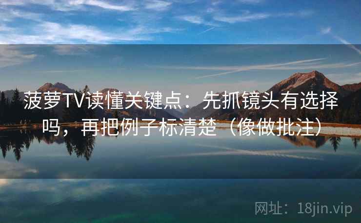 菠萝TV读懂关键点：先抓镜头有选择吗，再把例子标清楚（像做批注）